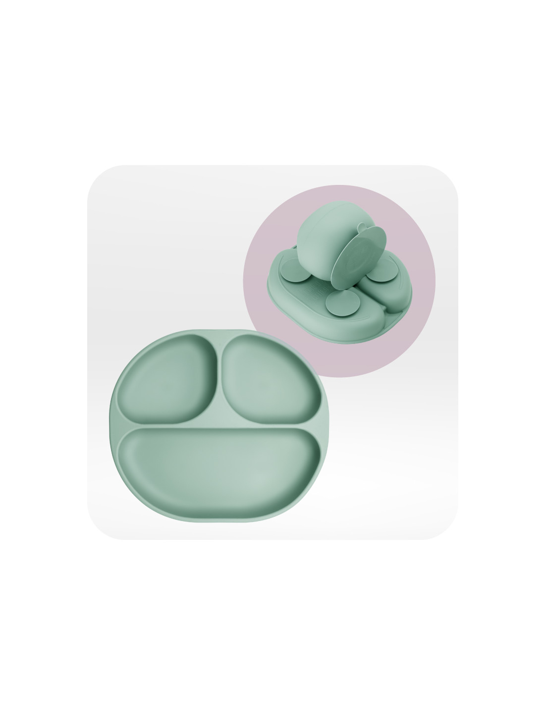 MoMi AMI Meal Set, Green